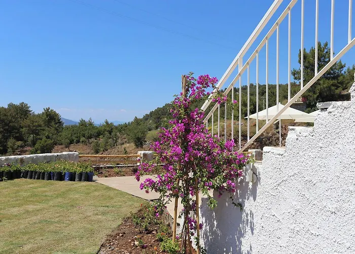 Bubo Faralya Suite Hotel Bed & Breakfast 4*